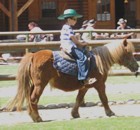 Lago di Garda bambino a cavallo